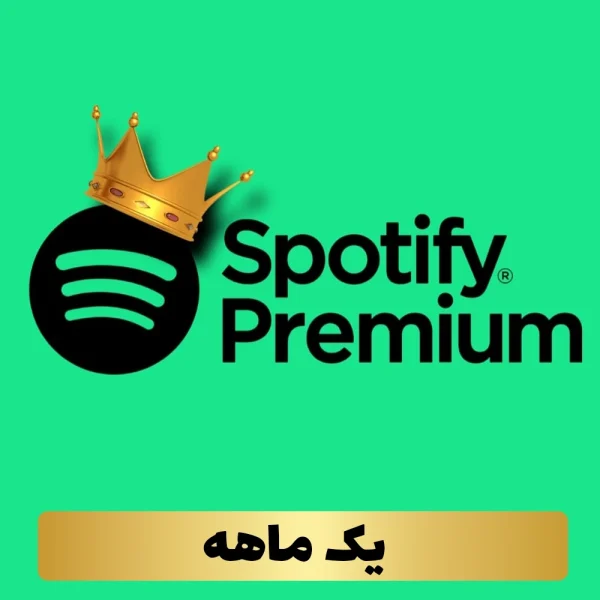 اشتراک 1 ماهه اسپاتیفای Individual
