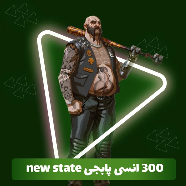 300 انسی پابجی NEW STATE