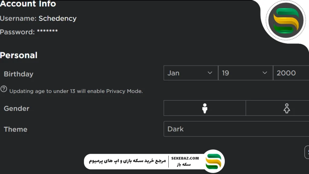 آموزش تنظیمات روبلاکس: چطور بدون مشکل روبلاکس بازی کنیم؟
