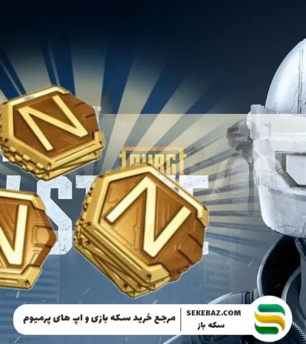نحوه خرید انسی پابجی نیو استیت با آیدی – راهنمای کامل و جامع