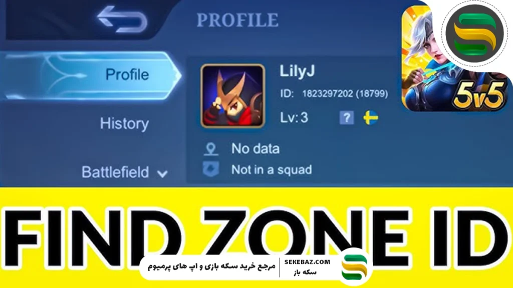 آموزش دریافت آیدی عددی و زون موبایل لجندز 2025 – راهنمای کامل و تضمینی