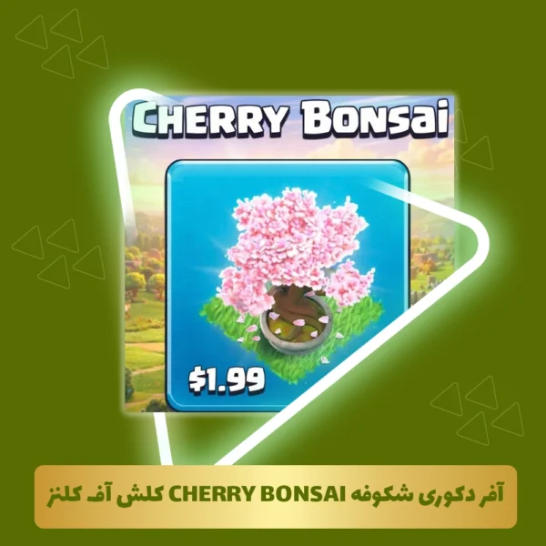 آفر دکوری شکوفه Cherry Bonsai کلش اف کلنز