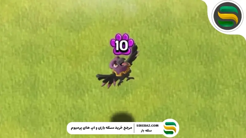بررسی کامل حیوان خانگی Greedy Raven در بازی کلش اف کلنز