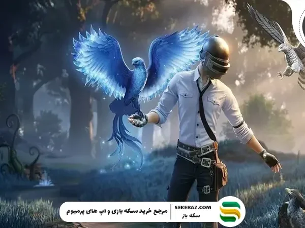 پابجی موبایل کی آپدیت میشه؟ بررسی کامل آپدیت 4.3 پابجی موبایل