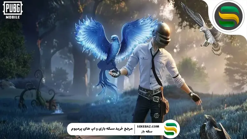 پابجی موبایل کی آپدیت میشه؟ بررسی کامل آپدیت 4.3 پابجی موبایل